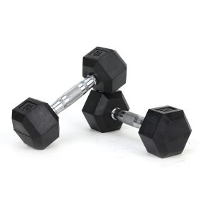 1-Pair (2pieces) 10LB HDRS Rubber Coated Solid Cast Iron Dumbbells.