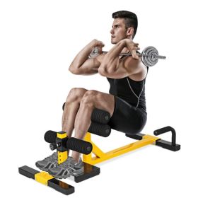 3-in-1 Sissy Squat Ab Workout Sit-up Machine.