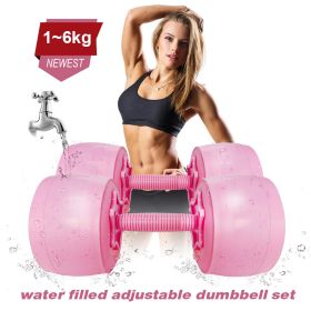 5-6KG Water Filled Travel Dumbbell Set (Option: 6kg-Pink)