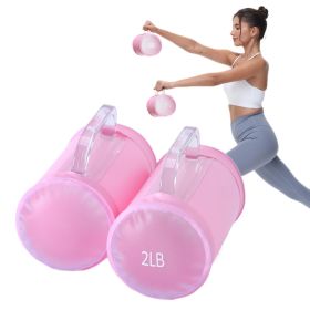 Water Filled Training Weights Set, Travel Weights, Adjustable Weights Dumbbells to 4 Lbs./Pair, for Strength Training. (Weights: 2LB pink barrel dumbbell pair)