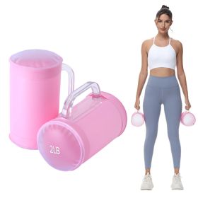 2x2lbs Water Dumbbell Pair (Option: 2x2lb-Pink)